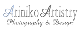 ariniko logo