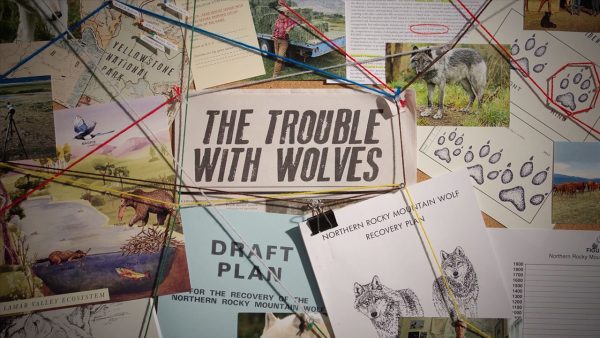 The Trouble with Wolves